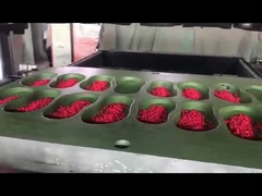 Hochwertiges EVA-Material Farbiges Granulat Pellet Schuhherstellung